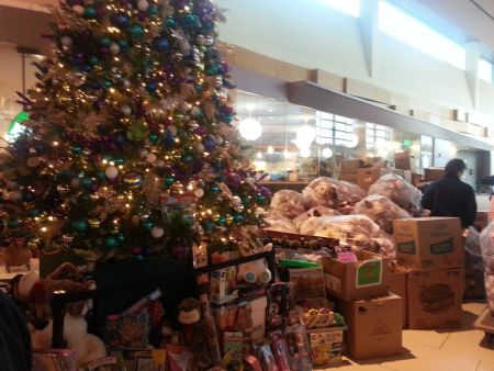 Toys and Christmas tree at Stony Brook University medical Center
